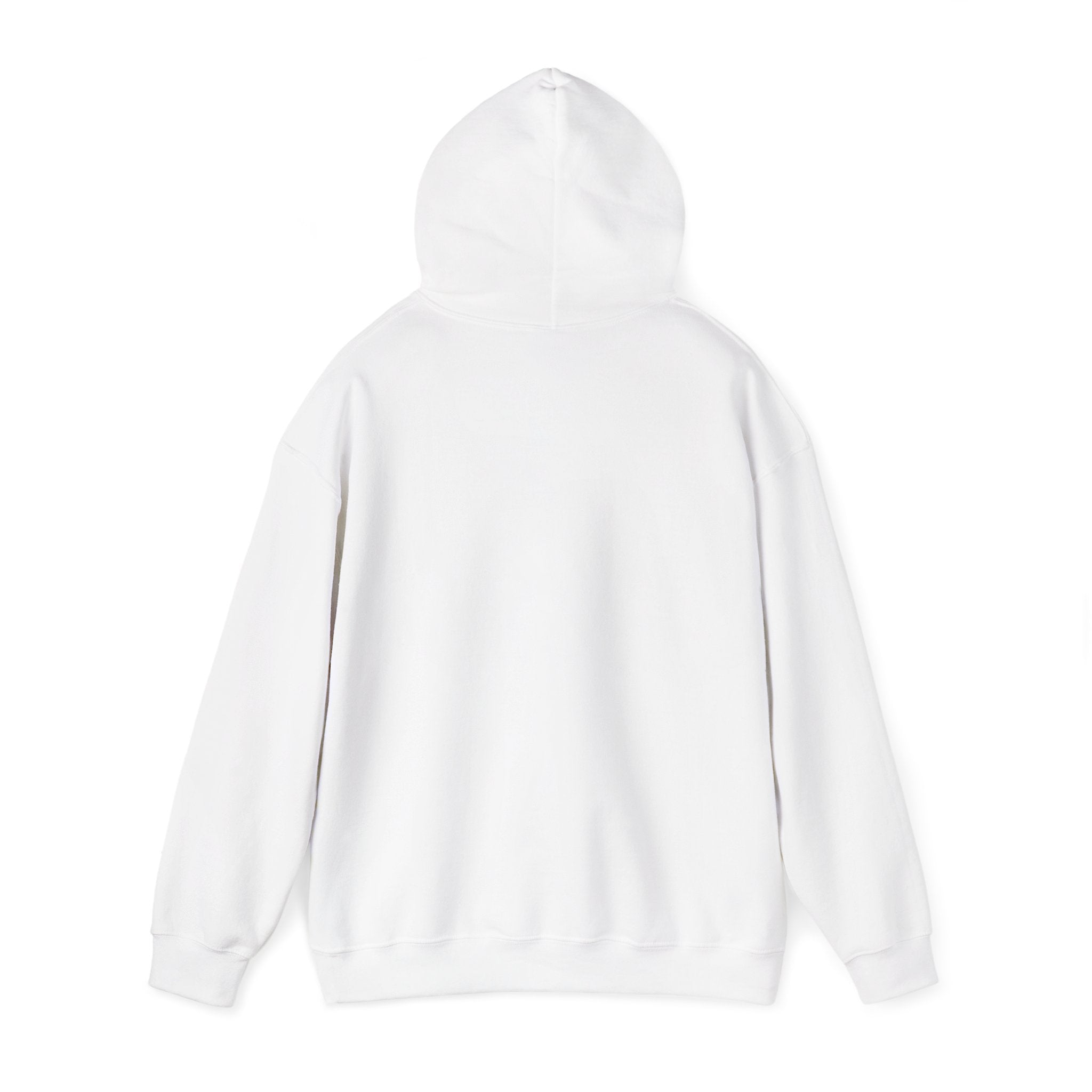 Colorful Daygo Native Hoodie | Unisex Sweatshirt for Comfort and Style, Perfect for Casual Wear, Gifts, and Celebrations