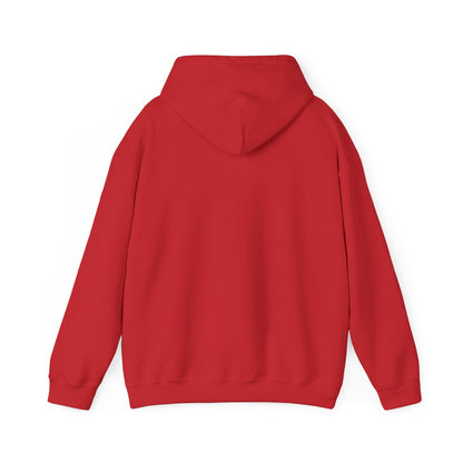 Colorful Daygo Native Hoodie | Unisex Sweatshirt for Comfort and Style, Perfect for Casual Wear, Gifts, and Celebrations
