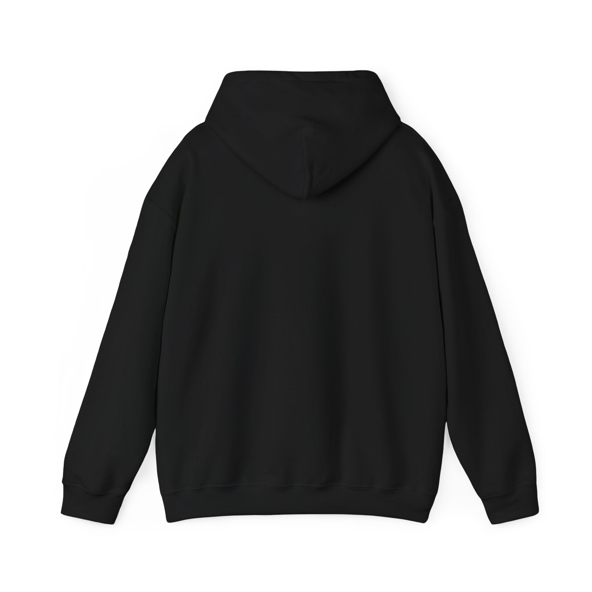 Colorful Daygo Native Hoodie | Unisex Sweatshirt for Comfort and Style, Perfect for Casual Wear, Gifts, and Celebrations