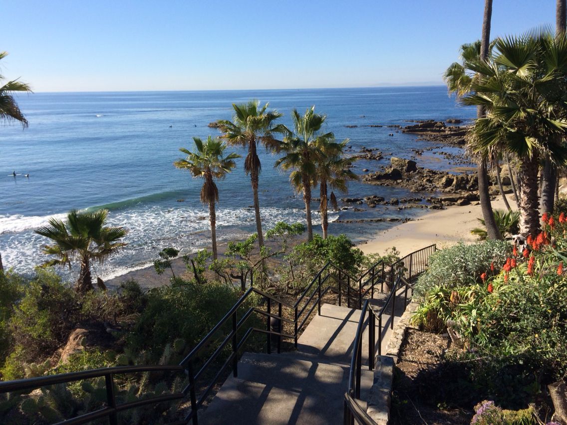 Ultimate Guide to Best Adventures in San Diego for 2024